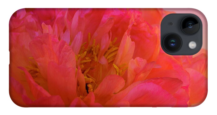 Peony iPhone 14 Case featuring the photograph Peony Blossoms in Spring 9 by Lindsay Thomson