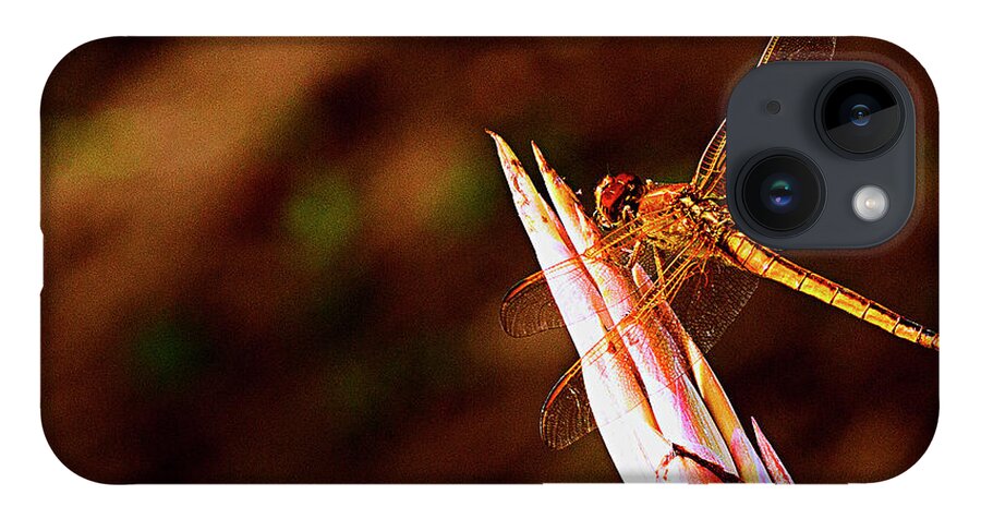 Dragonfly iPhone Case featuring the photograph Perching Dragon by Bill Barber