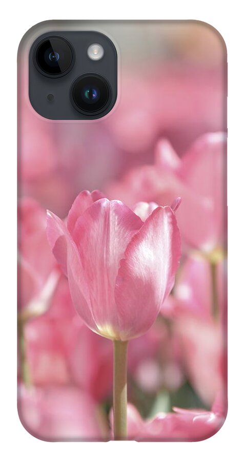 Nature iPhone 14 Case featuring the photograph Perfectly Pink by Lens Art Photography By Larry Trager