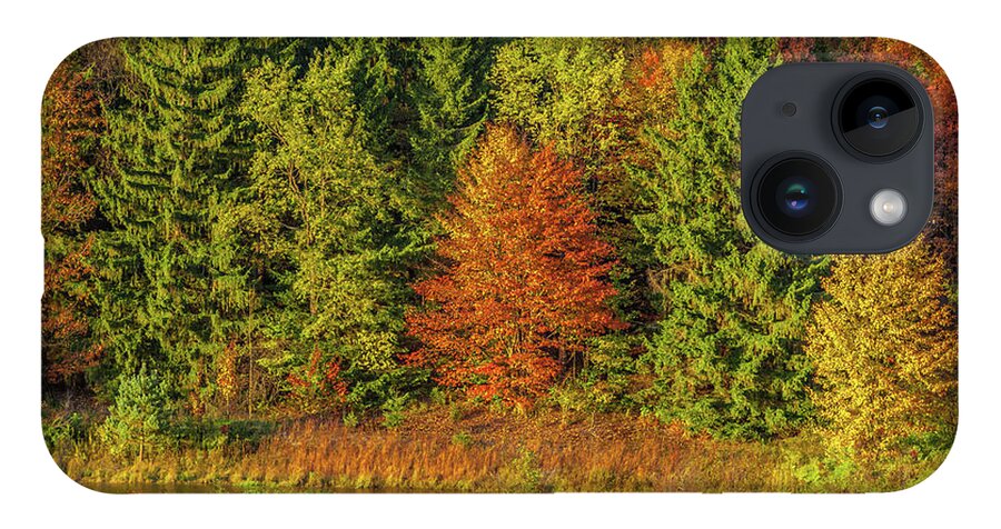 Autumn iPhone 14 Case featuring the photograph Philip's Autumn Trees by Don Nieman