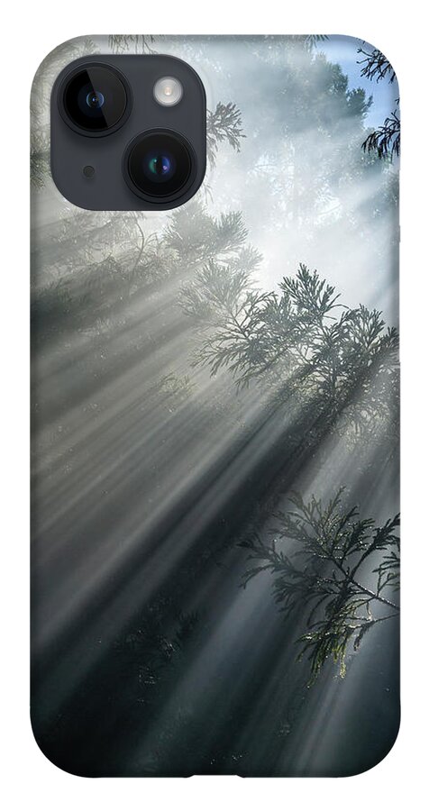 Photosynthesis iPhone 14 Case featuring the photograph Photosynthesis II by Olivier Parent