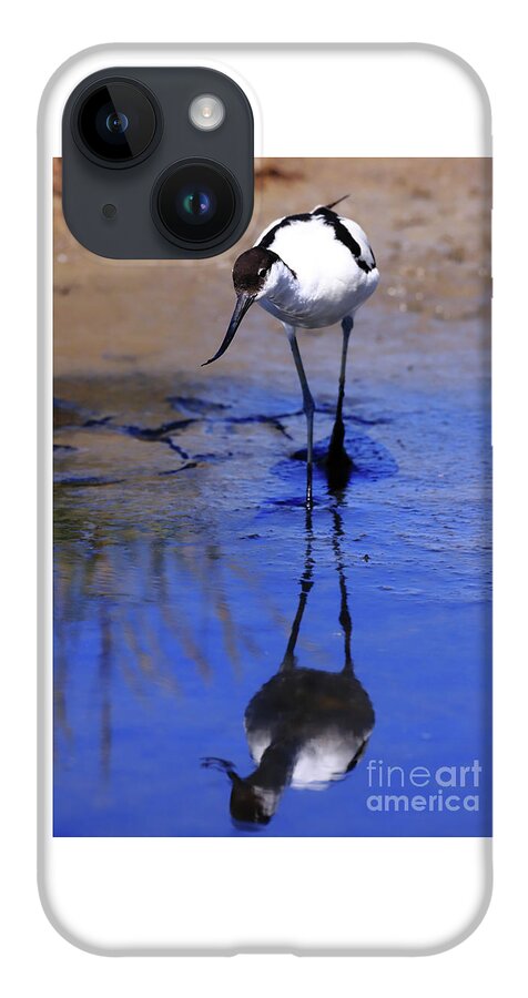 Avocet iPhone Case featuring the photograph Pied avocet, Recurvirostra avosetta by Frederic Bourrigaud