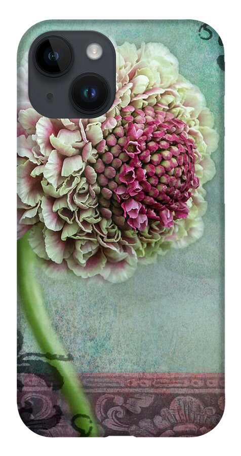 Fine Art iPhone 14 Case featuring the photograph Pincushion Collage-Right by Shara Abel