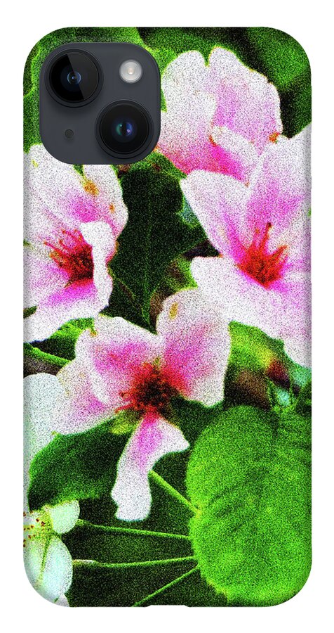 Cherry Blossoms iPhone 14 Case featuring the photograph Pink Cherry Blossoms by Rod Whyte