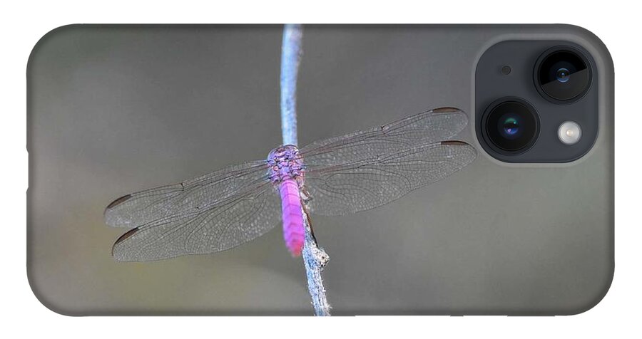 Pink Dragonfly iPhone 14 Case featuring the digital art Pink Dragonfly by Tammy Keyes