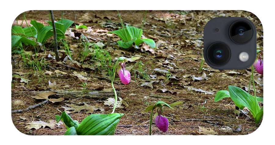 Pink Lady's Slippers iPhone 14 Case featuring the photograph Pink lady's slippers by Monika Salvan