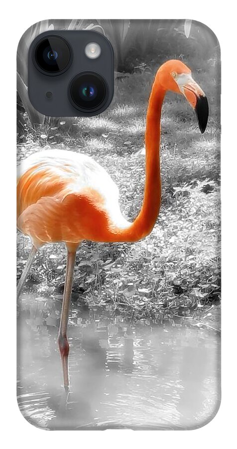 Bird iPhone Case featuring the photograph Pink Orange Flamingo Photo 210 by Lucie Dumas