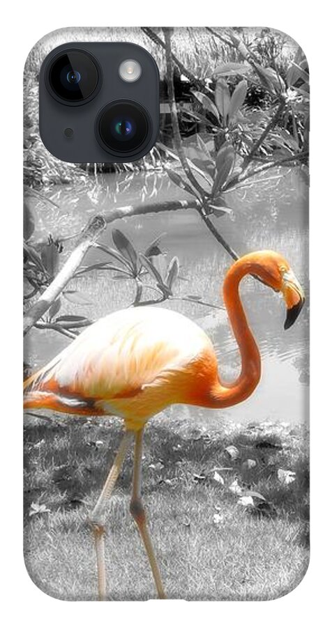 Bird iPhone 14 Case featuring the photograph Pink Orange Flamingo Photo 212 by Lucie Dumas