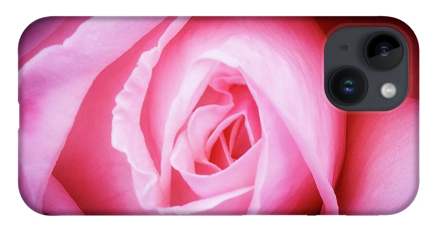 Pink Rose iPhone Case featuring the photograph Pink Rose by David Morehead