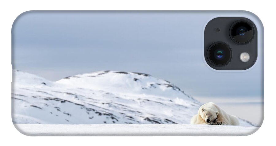 Polar iPhone 14 Case featuring the photograph Polar bear resting on the snow in Svalbard by Jane Rix
