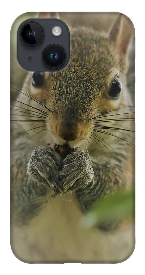 Squirrel iPhone 14 Case featuring the photograph Portrait of a Squirrel by Mingming Jiang