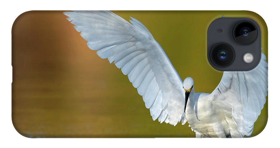 Snowy Egret iPhone 14 Case featuring the photograph Pre-dawn Hunting. by Paul Martin