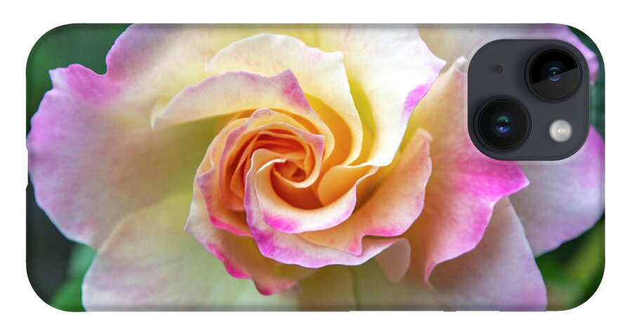 Flower iPhone 14 Case featuring the photograph Pretty Rose by Cathy Kovarik