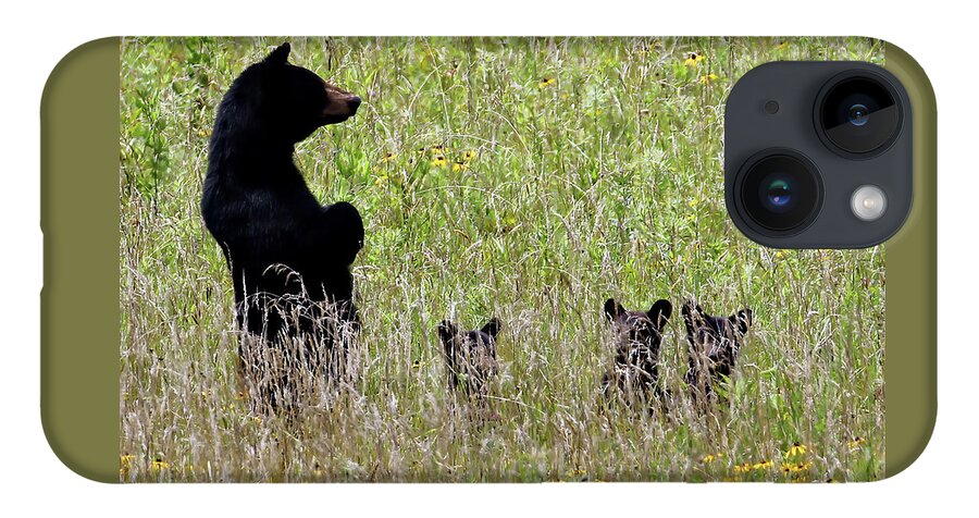 Tennessee iPhone Case featuring the photograph Protective Black Bear by Jennifer Robin