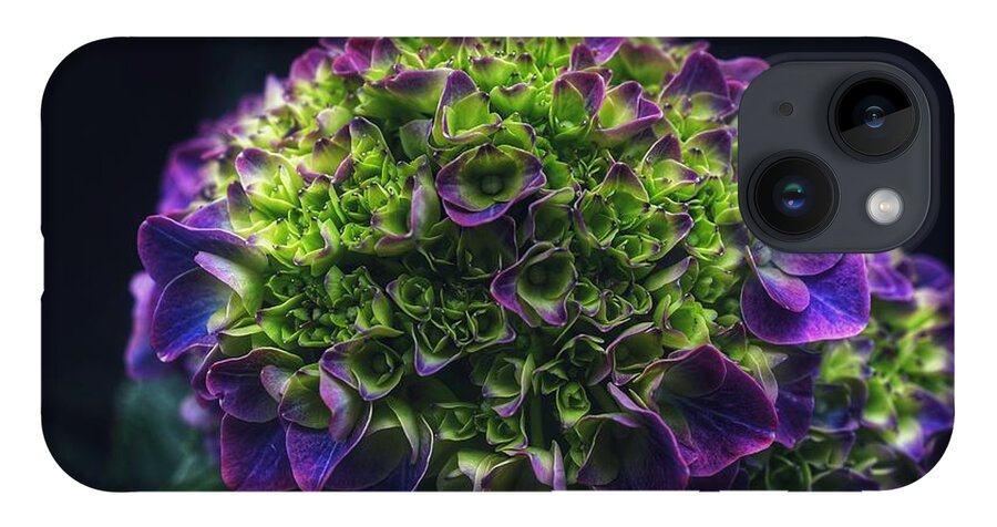 Photo iPhone 14 Case featuring the photograph Purple Crown by Evan Foster