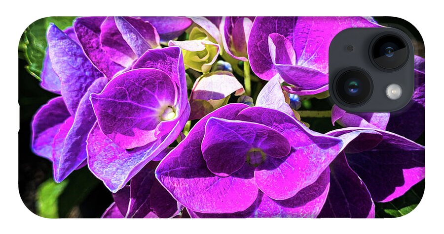 Floral iPhone 14 Case featuring the photograph Purple flowers by Jim Feldman