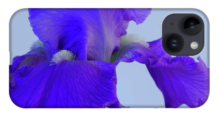 Irises iPhone 14 Case featuring the photograph Purple Iris Blooms in Spring 3 by Lindsay Thomson