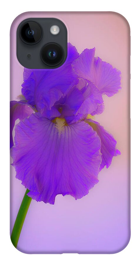 Irises iPhone 14 Case featuring the photograph Purple Iris Blooms in Spring by Lindsay Thomson