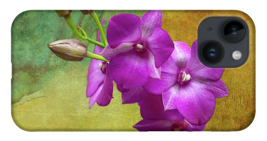 Lady Slipper Orchid iPhone Case featuring the photograph Purple Moth Orchid by Cate Franklyn