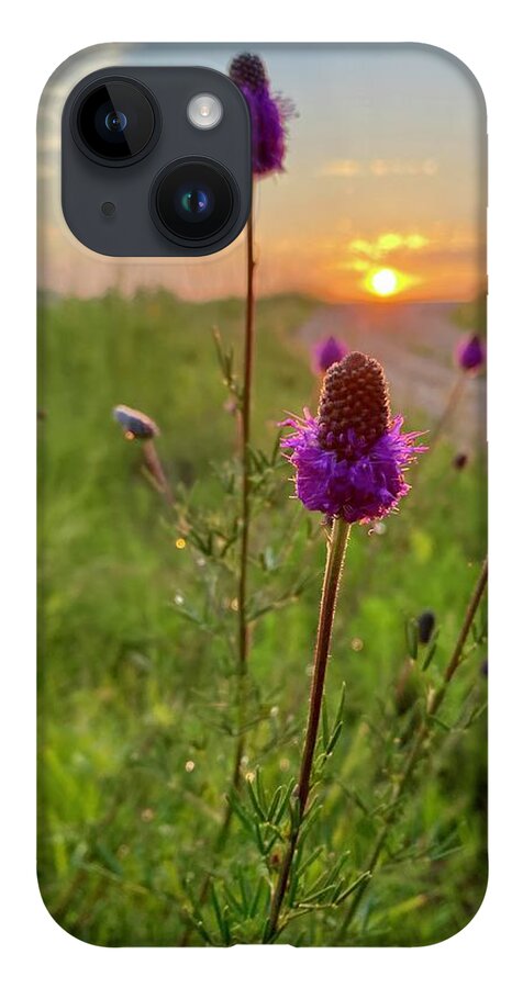 Purple Prairie Clover iPhone 14 Case featuring the photograph Purple Prairie Clover by Alex Blondeau
