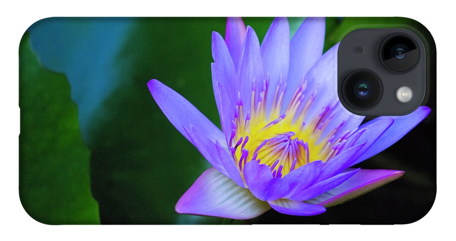 Exotic Flower iPhone 14 Case featuring the photograph Purple Water Lily by Christi Kraft