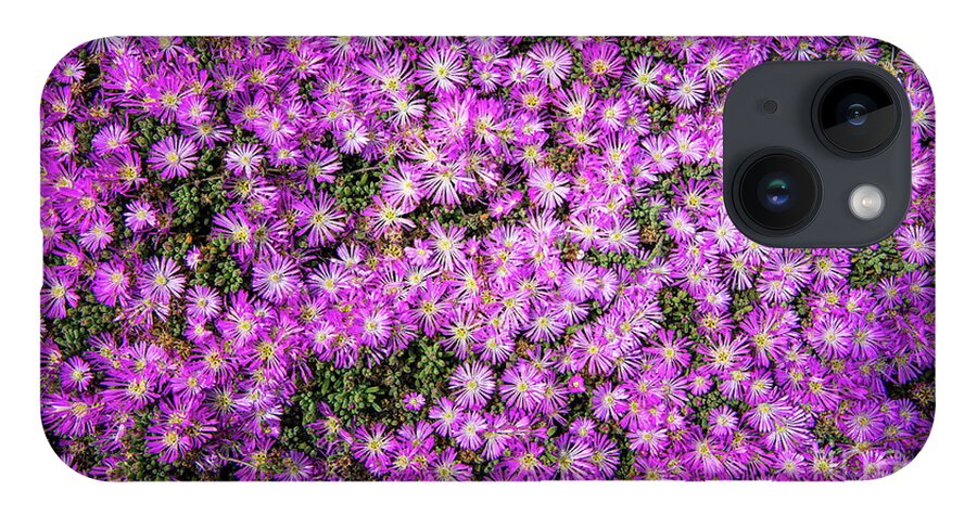Ca Route 1 iPhone Case featuring the photograph Purplish Pinkish Blooms by David Levin