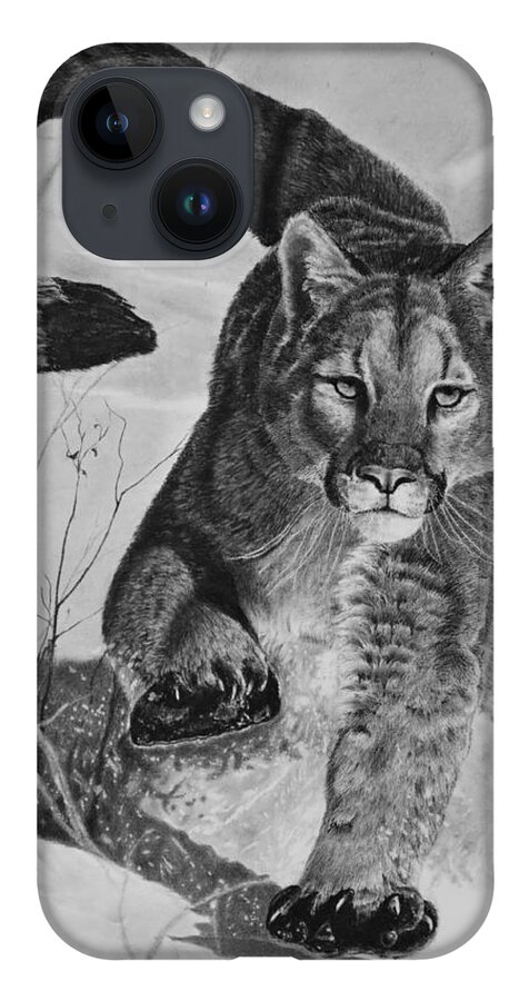 Mountain Lion iPhone Case featuring the drawing Pursuit by Greg Fox