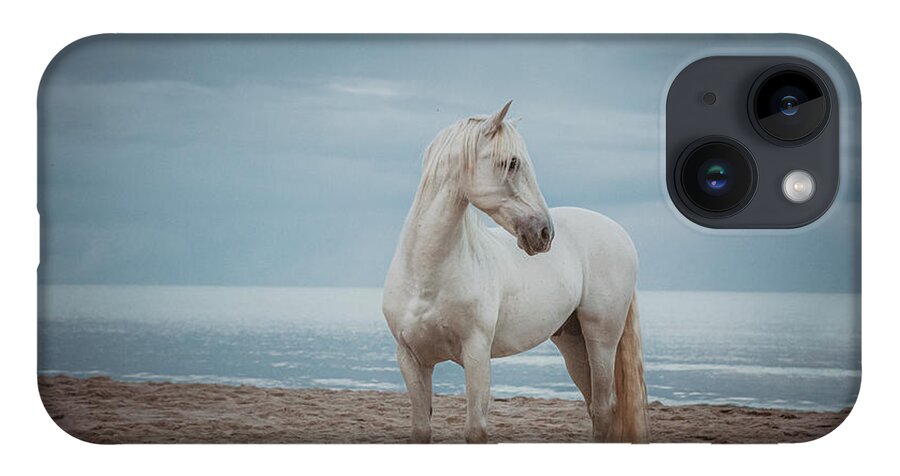 Photographs iPhone Case featuring the photograph Quiet Storm - Horse Art by Lisa Saint