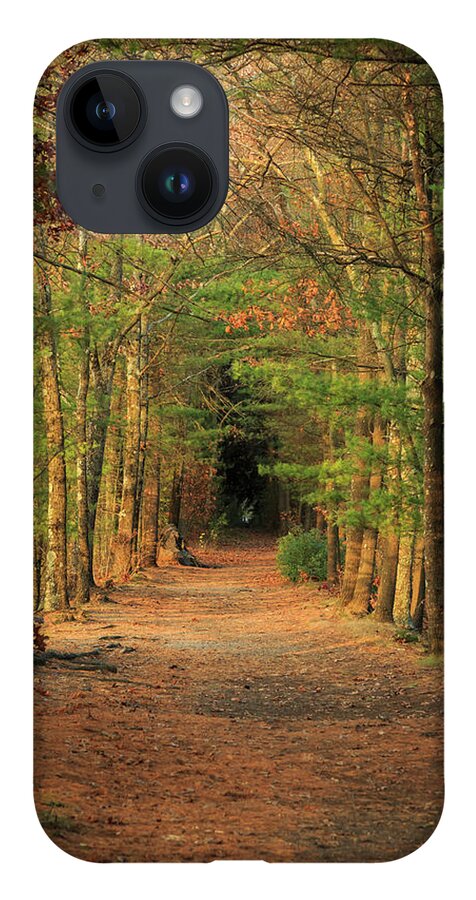 Rail Trails iPhone 14 Case featuring the photograph Rail Path by David Lee