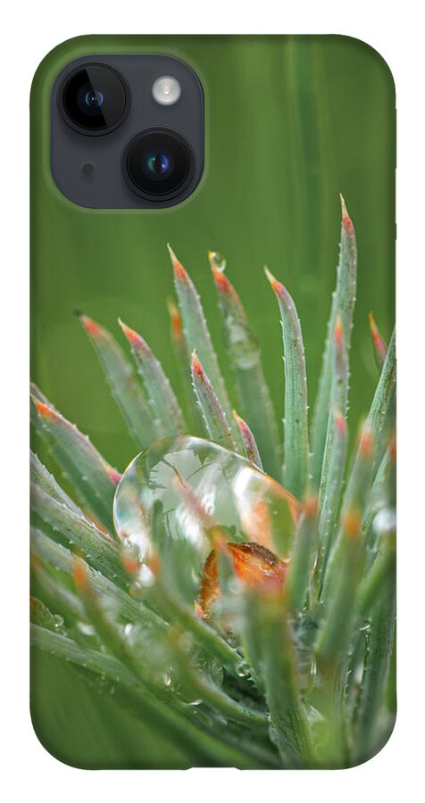 Rain iPhone 14 Case featuring the photograph Rain On Pine Bud by Karen Rispin