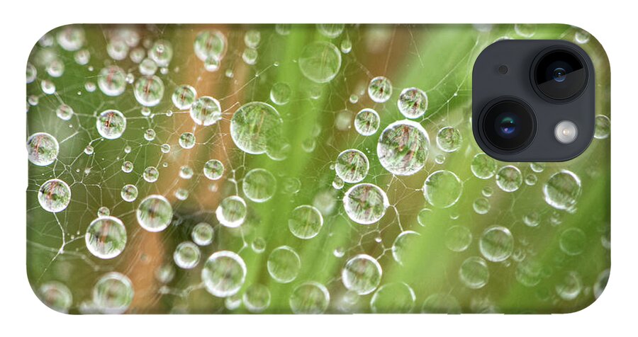 Rain iPhone 14 Case featuring the photograph Raindrops On A Web Net by Karen Rispin