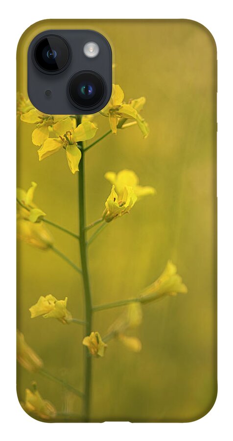 Rapeseed iPhone 14 Case featuring the photograph Rapeseed flowers by Karen Rispin