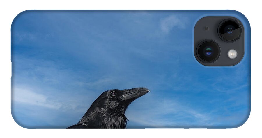 Raven iPhone 14 Case featuring the photograph Raven Portrait by Laura Putman