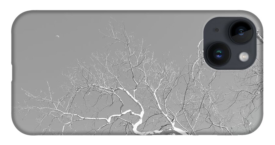 Tree iPhone 14 Case featuring the photograph Reaching for the Moon by Bentley Davis
