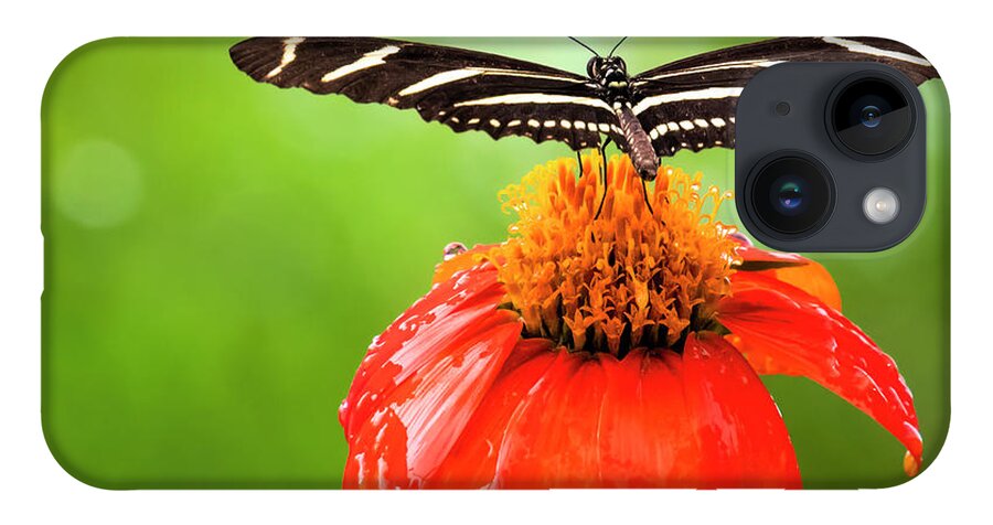 Butterfly iPhone 14 Case featuring the photograph Ready For Takeoff by Ginger Stein