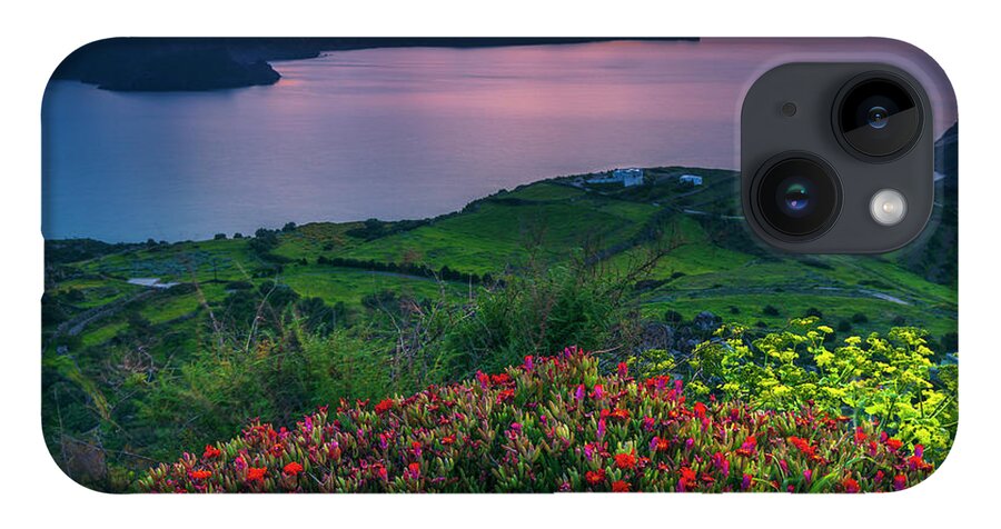 Aegean Sea iPhone 14 Case featuring the photograph Red Flowers Of Milos by Evgeni Dinev