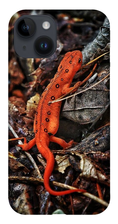 Photo iPhone 14 Case featuring the photograph Red Spotted Newt by Evan Foster
