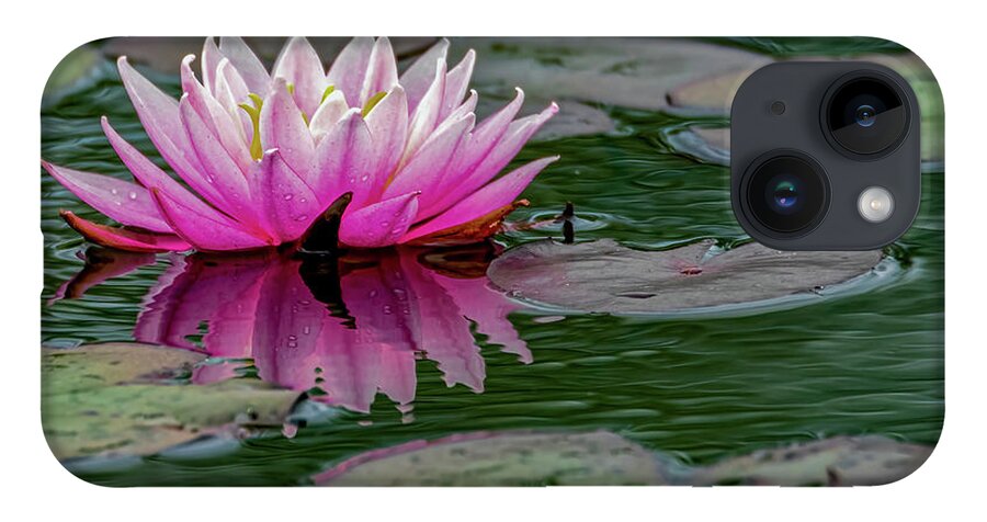 Aquatic iPhone 14 Case featuring the photograph Reflection of a water lily by Brian Shoemaker