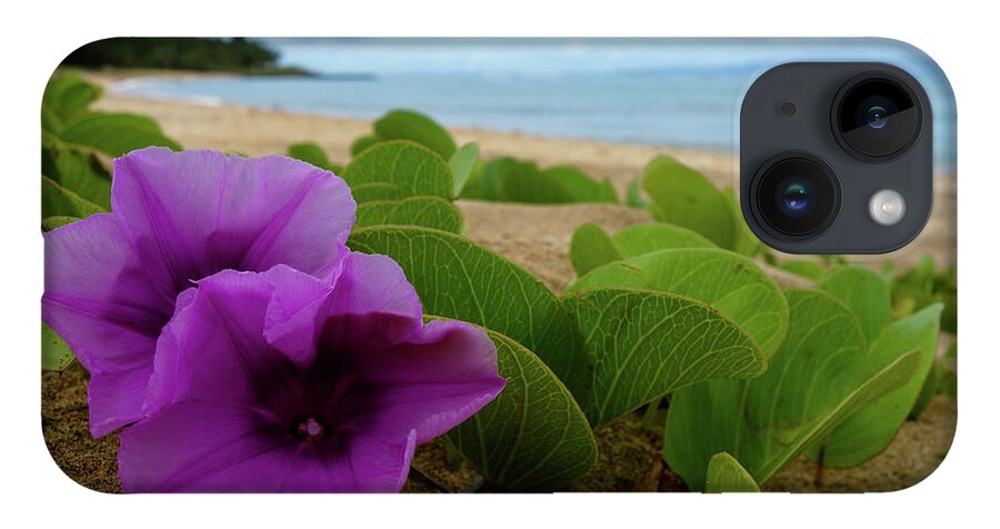 Maui iPhone 14 Case featuring the photograph Relaxing Flowers in the Sand by Wilko van de Kamp Fine Photo Art