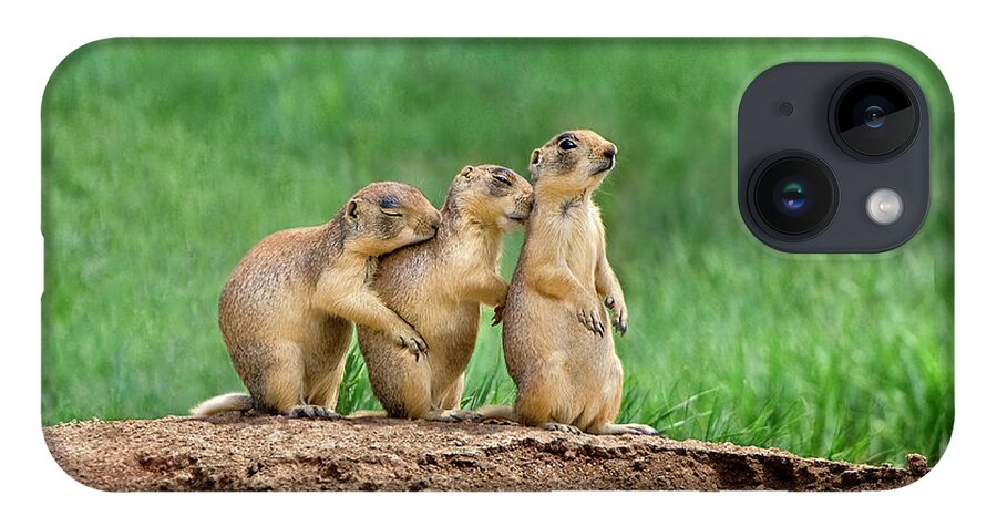 Utah Prairie Dogs iPhone 14 Case featuring the photograph Relaxing Utah Prairie Dogs Cynomys Parvidens Wild Utah by Dave Welling