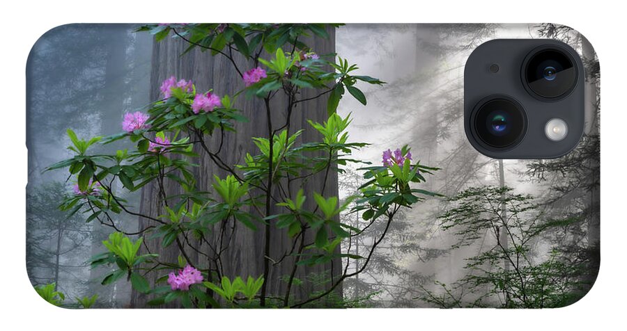 Trees iPhone 14 Case featuring the photograph Rhodie Crown by Chuck Jason