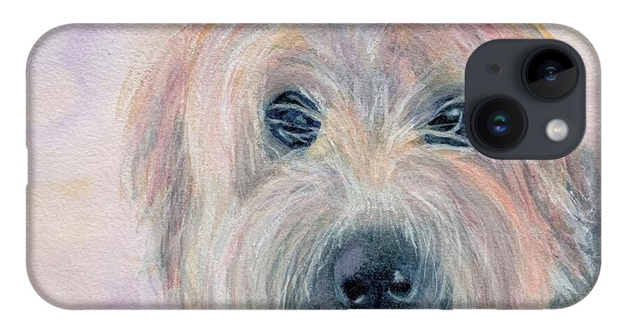 Soft-coated Wheaten Terrier iPhone 14 Case featuring the painting Rory by Sue Carmony
