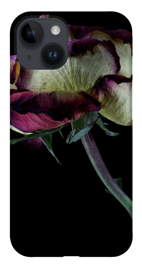 Macro iPhone 14 Case featuring the photograph Rose 3092 by Julie Powell