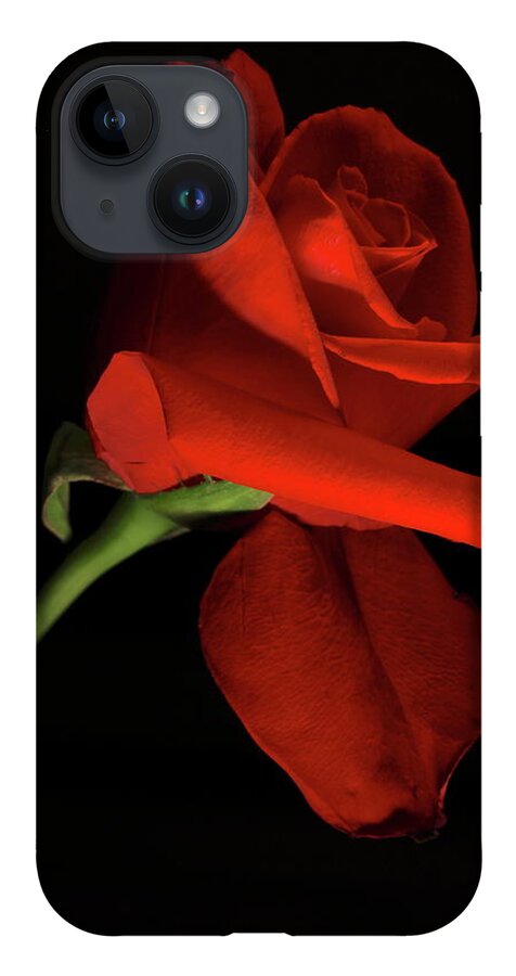 Macro iPhone 14 Case featuring the photograph Rose 8702 by Julie Powell