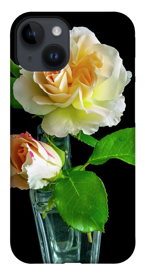 Roses iPhone Case featuring the photograph Roses by Cathy Kovarik