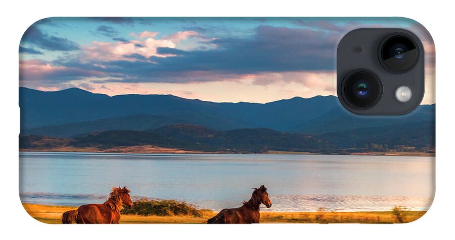Animal iPhone 14 Case featuring the photograph Running Horses by Evgeni Dinev