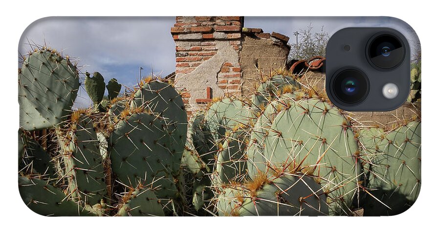 Cactus iPhone 14 Case featuring the photograph Cactus at San Miguel Mission by Lars Mikkelsen