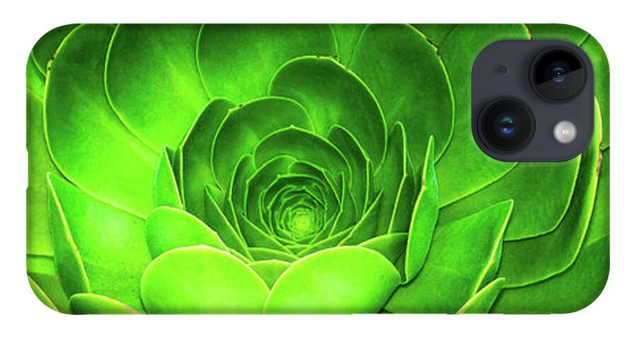 Environmental iPhone 14 Case featuring the photograph Santa Barbara Succulent #7 by Jennifer Wright