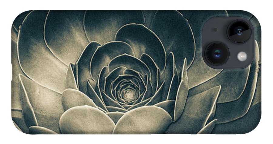 Artistic iPhone 14 Case featuring the photograph Santa Barbara Succulent#12 by Jennifer Wright
