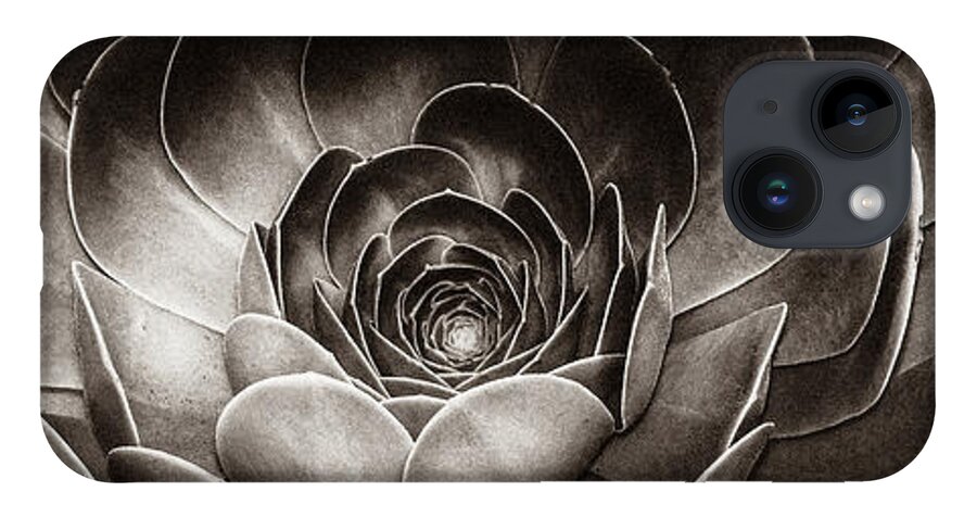 Artistic iPhone 14 Case featuring the photograph Santa Barbara Succulent#13 by Jennifer Wright